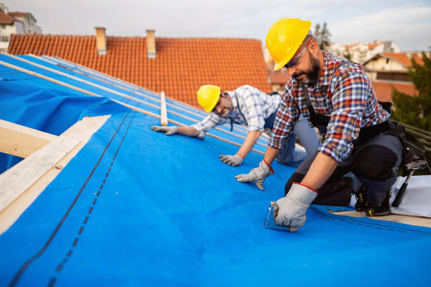 Best Roof Insulation Installation  in Frankfort, OH